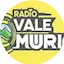 Logo Radio Vale Murici