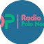 Logo Radio Disco Polo Non Stop FM