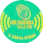 Logo Irundiara