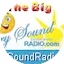 Logo Parry Sound Eastern Shores Radio