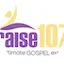 Logo Praise 107.9