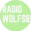 Logo Radio Wolfsburg
