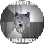 Logo Overdrive 192