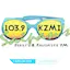 Logo KZMI
