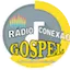Logo Web Rádio Conexão Gospel