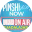 Logo Pinshivlog Now
