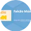 Logo Falcão Música