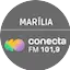 Logo Conecta FM