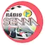 Logo Radio Senna Gospel
