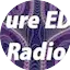 Logo 1 Pure EDM Radio