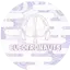 Logo Radio Electronauts