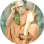 Logo Periyava Vanoli