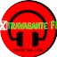Logo Radio Extravagante FM