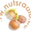 Logo Nuts radio