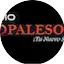 Logo Radio VOPALESON