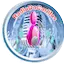 Logo RadioDoCarlitos