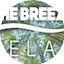 Logo The Breeze Relax
