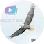 Logo Champion's Circle Bible Radio
