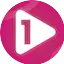 Logo Northants 1