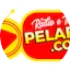 Logo Rádio e TV Pelafe.Com