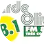 Logo Rádio Verde Oliva FM 88.1