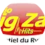 Logo Zig Zag Hits