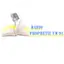 Logo Radio Prophetie Fm 91.1