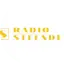 Logo Radio-Steenderen