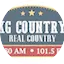 Logo Real Country