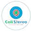 Logo Cali Stereo
