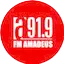 Logo Amadeus