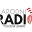 Logo Narodni Radio Dj Ćosa Lukavac