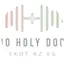 Logo Radio Holy Doctor Hungary