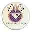 Logo Radio del Valle
