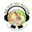 Logo La Voz del Vaupes