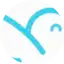Logo Bluebird Radio FM 100.1