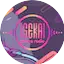 Logo Isekai Anime Radio