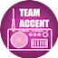 Logo Team Accent