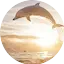 Logo Cuore Dei Delfini