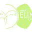 Logo RadioElimChile