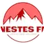 Logo Nestes FM