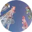 Logo Rádio Novo Amanhecer FM