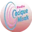 Logo Cacique Misak