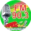 Logo Radio Mecapaca