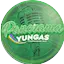 Logo Radio Panorama Yungas