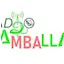 Logo Radio Télé Damballah