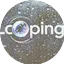 FM Looping