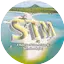 Logo Stm Radio Web