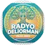 Logo RadYo Deliorman