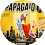 Logo RADIO PAPAGAIO WEB